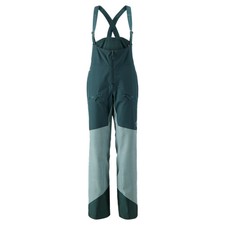 Scott W's Vertic GTX 2L Pant