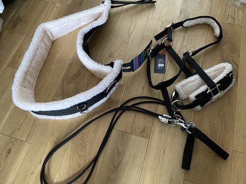 Shires lunging training aid - shires,