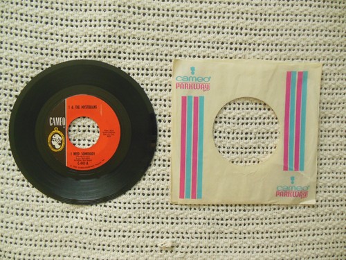 1966 garage rock - 1966, the