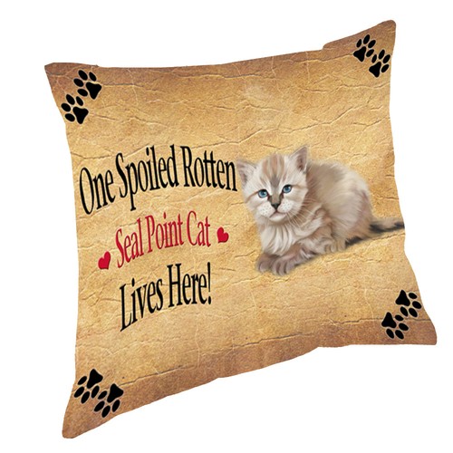 Seal point kitten spoiled - kitten,