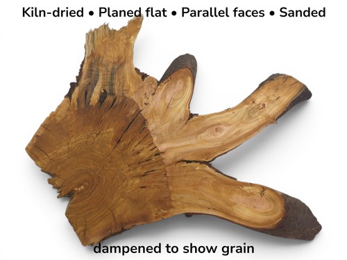 Cherry tree root wood - cherry, slice