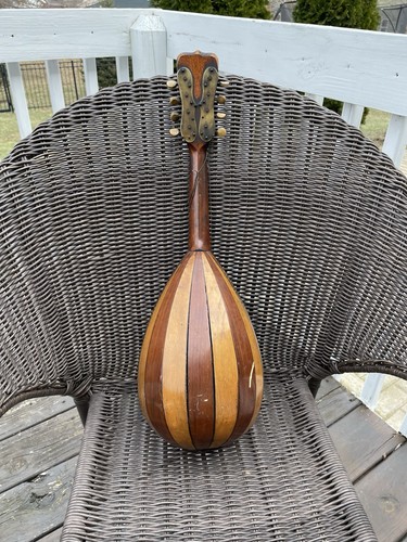 Antique tater bug 8 - bug",