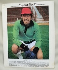 Typhoo tea football - football, photo