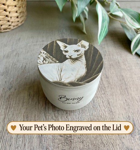 Personalised sphynx cat urn - personalised,