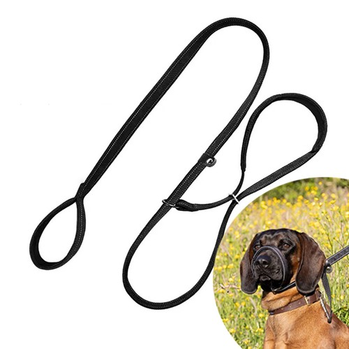 Total pet figure dog - of, lead