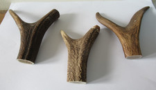 3 RED DEER STAG THUMBSTICK HANDLE LIGHT WEIGHTS FOR WALKING STICK MAKING/STICKS