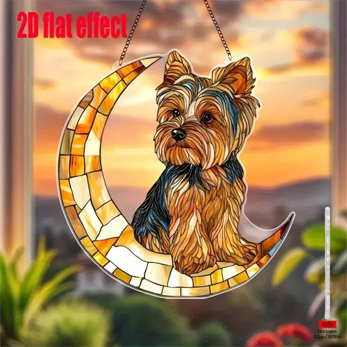 Yorkshire terrier dog moon - terrier,