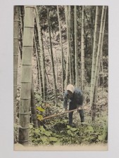Japanese Man Working Bamboo