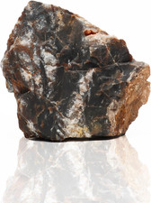 - Petrified Rock, Aquarium