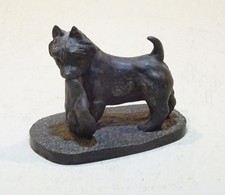 CAIRN TERRIER Dog Standing