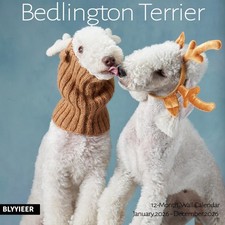 2026 wall calendar bedlington - 2026,