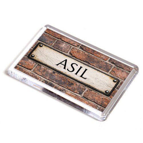 Fridge magnet asil street - fridge,