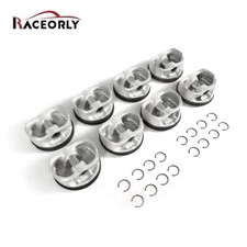 RACEORLY Pistons Rings STD For