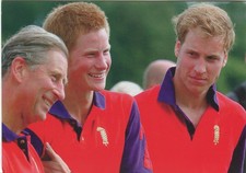 ~~~ ORIGINAL~~ POSTCARD ~~~