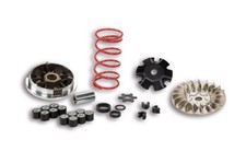 Variator Malossi MHR Team