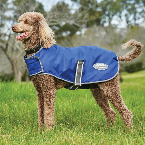 Weatherbeeta comfitec - weatherbeeta,