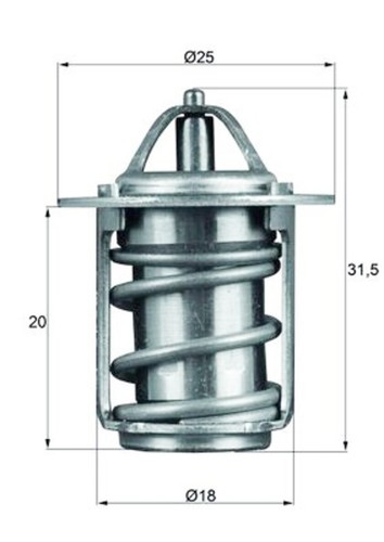 Engine thermostat mahle fits - engine,