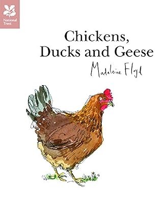 Chickens ducks and - chickens,,