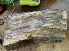 Spalted Beech Bowl Blank Wood