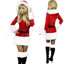 Sexy Mrs Claus Costume Women