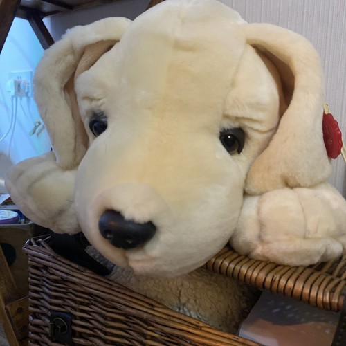 Keel toys labrador dog - keel, 40cm
