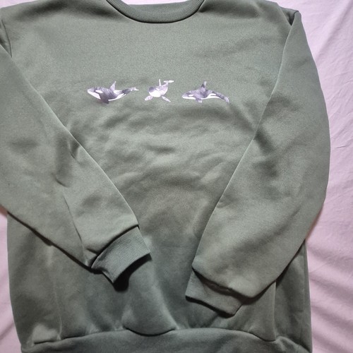 Killer whale orca - whale, animal