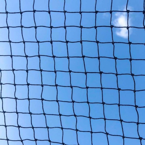 19mm bird netting sparrow - bird,