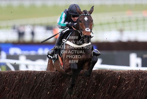 Altior nico boinville 2018 - altior,