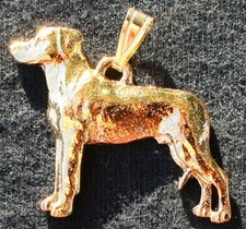 Rhodesian Ridgeback Dog 24K