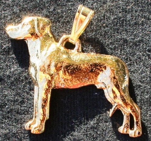Rhodesian ridgeback dog 24k - ridgeback,