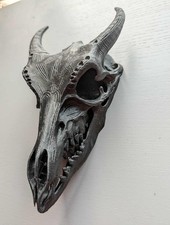 Dragon Skull Wall Art - 3D