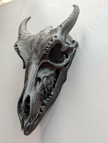 Dragon skull wall - wall, art