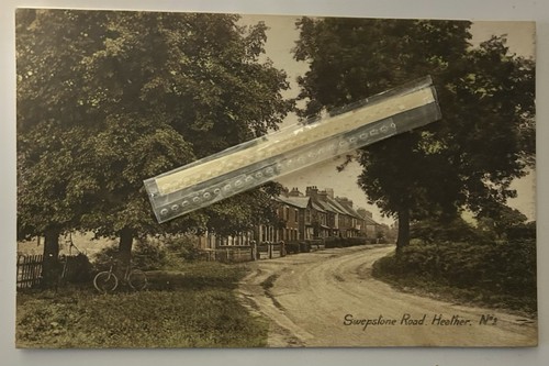 Heather swepstone road - heather,