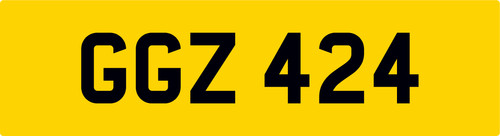 Ggz 424 dateless old horse - ggz,
