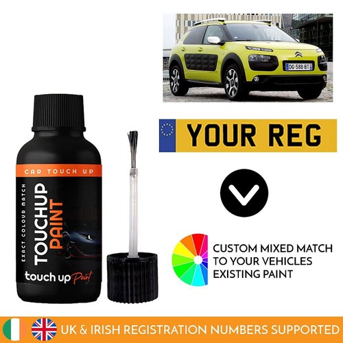 Touch paint for - paint, citroen