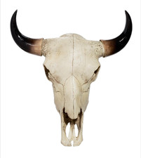 Spirit of the Prairie XL