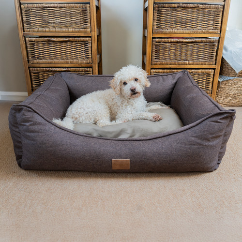 Allpetsolutions willow premium - allpetsolutions,