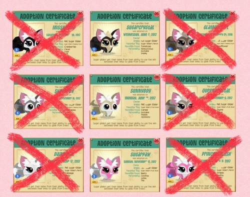 Animal jam play - jam, wild