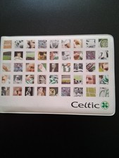 Celtic Season Book 2005-2006