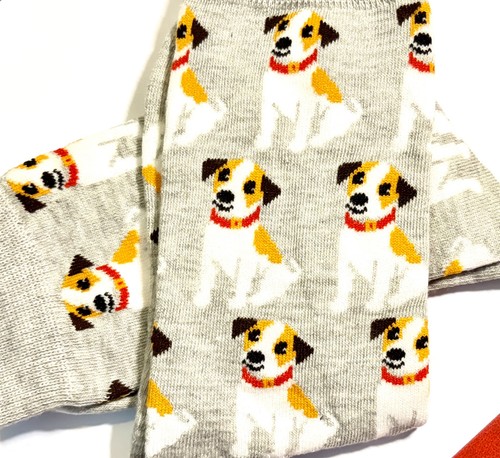 Sweet little puppy - puppy, dog