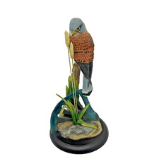 BORDER FINE ARTS KESTREL ( Birds Range) A8775 2010 ENESCO VGC in box 20cm high
