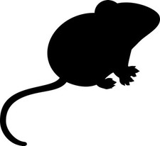 10-PACK  FROZEN MICE LARGE