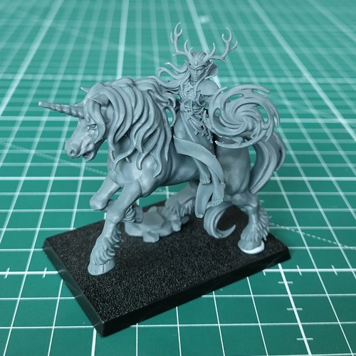 Highlands miniatures feral - highlands,
