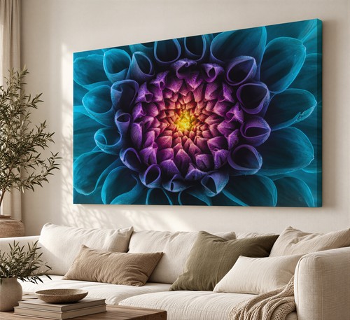 Rainbow chrysanthemum canvas - rainbow,