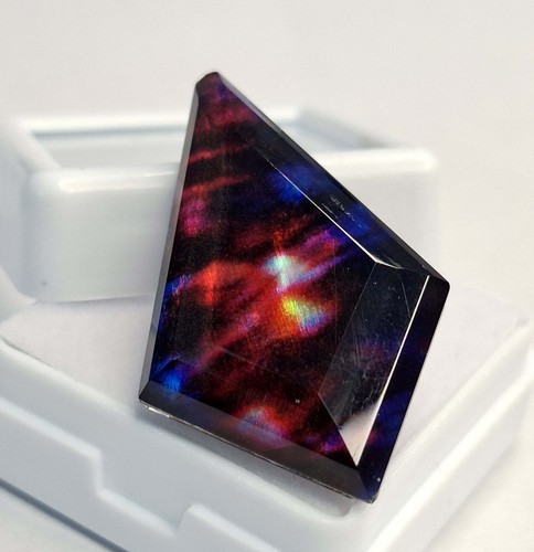 Certified color ammolite - certified, bi-color
