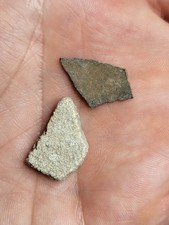 Raptor & Saltasaurus Egg Shells Dinosaur Fossils. Great Christmas Gift! (Ref211)