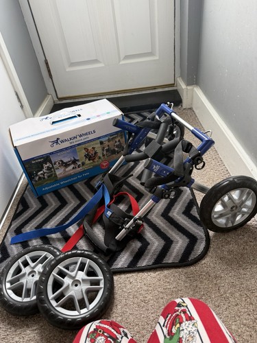 Walking wheels dog wheelchair - walking,