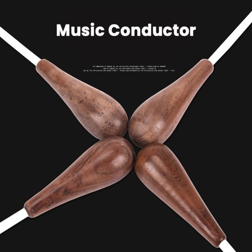 Texture musical conductor - musical,