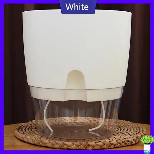 Transparent self watering - self,