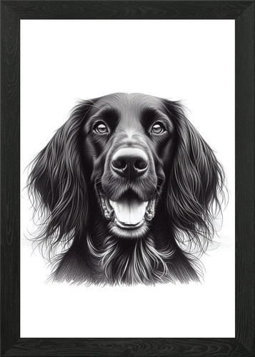 German longhaired pointer - longhaired,